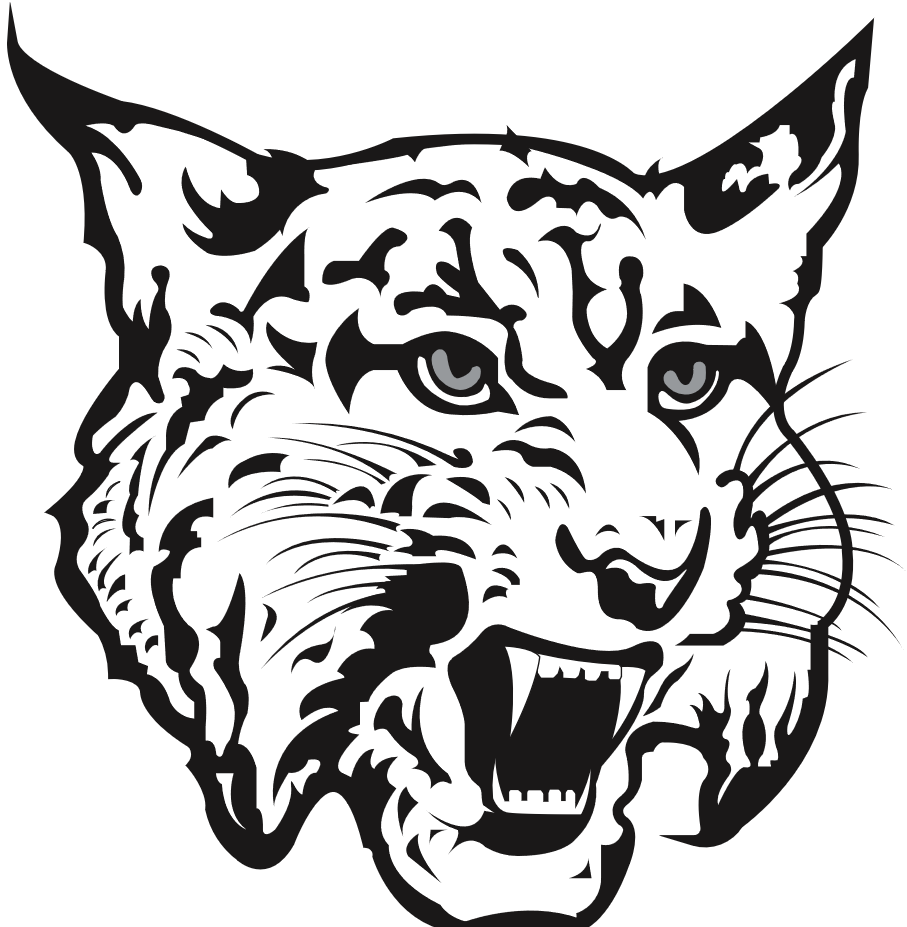 Charlotte Valley Central School District's Logo